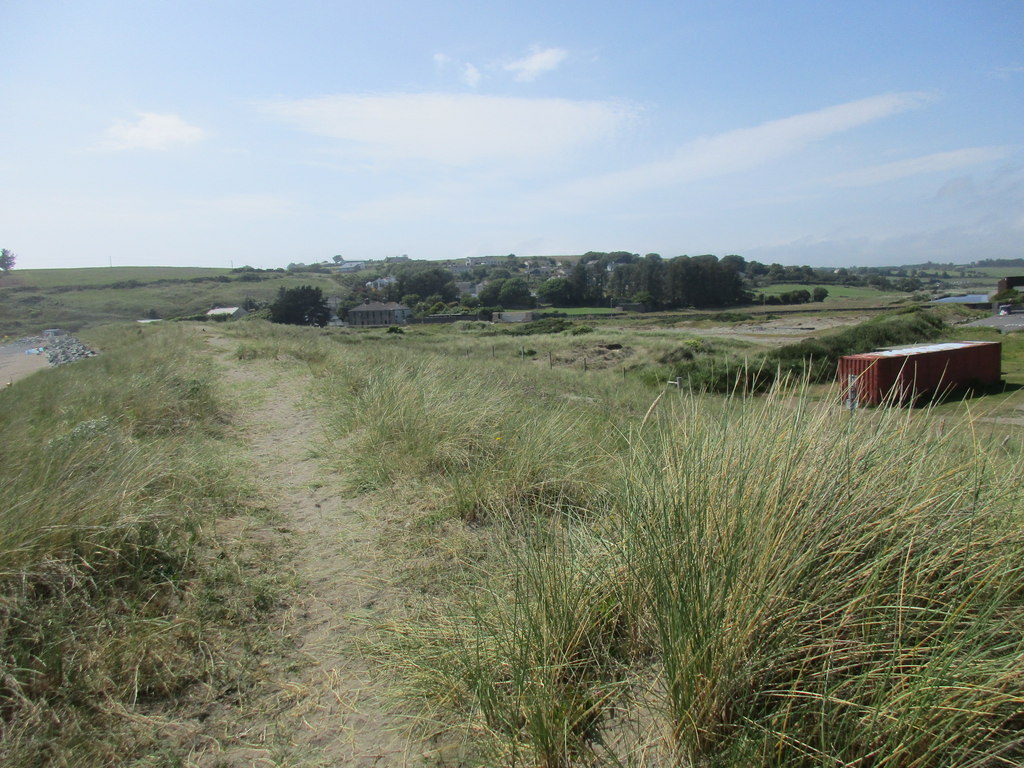Marram grass on the dunes behind Bunmahon beach